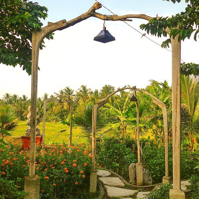 Beautifully framed… Bali