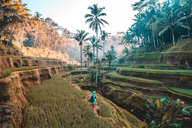 Love Bali and its beaches?
