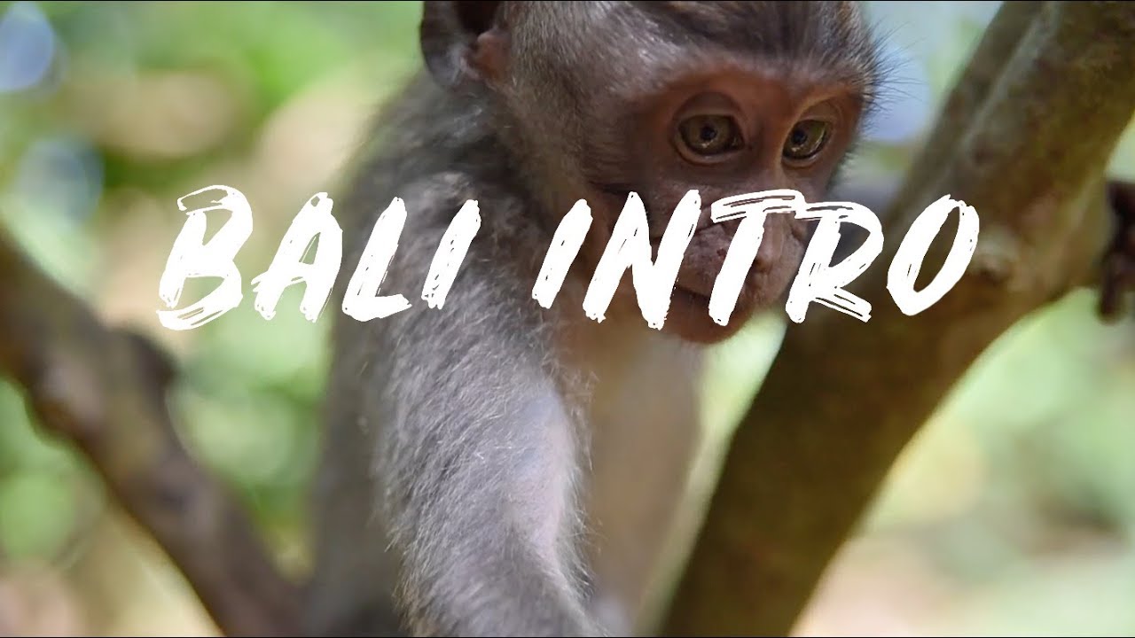 Bali Intro 12 Day | Intro Travel