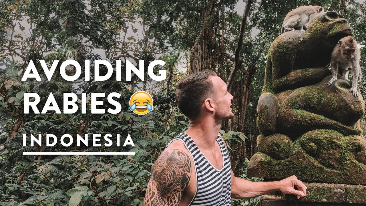 CRAZY MONKEY FOREST UBUD BALI – SACRED RABIES? | Indonesia Travel Vlog 139, 2018