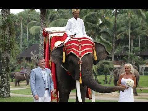 Elephant Safari Park Bali Wedding