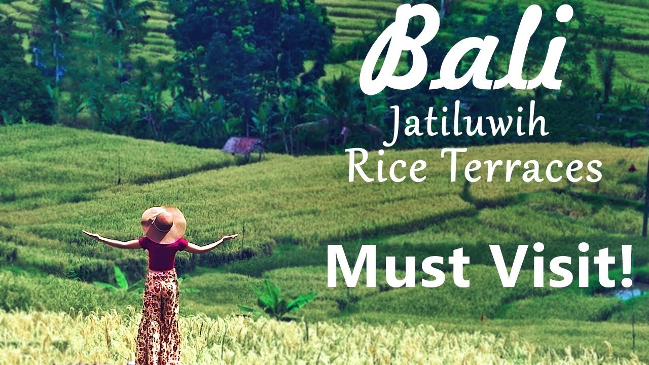 Jatiluwih Rice Terraces – Travel Guide | Bali Travel Series